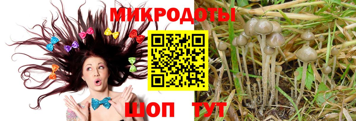 Лиски  продажа наркотиков  Вход с VPN  Псилоцибиновые грибы GOLDEN TEACHER  Псилоцибиновые грибы Psilocybine cubensis 